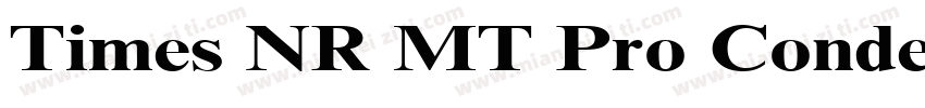 Times NR MT Pro Condensed字体转换